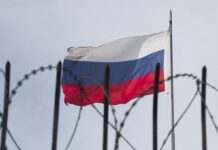 Заморожені активи РФ мають стати головним ресурсом допомоги ЄС, – Леонов