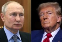 Дивні інсайди. Що пишуть ЗМІ перед дзвінком Трампа Путіну і хто вигадав “розділ земель”