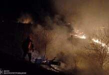 На Дніпропетровщині за добу ліквідовано 77 пожеж в екосистемах