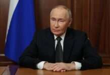 Трамп закликав Путіна зберегти життя українських військових: що відповів диктатор