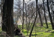 Прокуратура через суд повернула державі частину території заказника «Солов’їний гай» площею 2,9 га