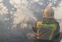 Росія: в Сибіру тривають масштабні пожежі через ураган