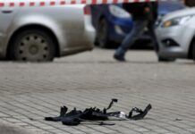 У Росії Шуя, де розташована ракетна частина, знову зазнала атаки БпЛА