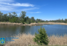 Громаді Криворізького району повернули майже 10 га водного фонду