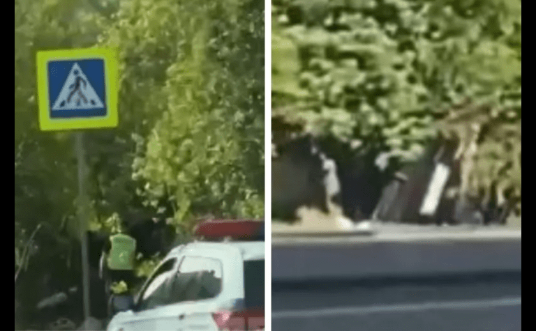 У Дніпрі Volkswagen перекинувся і врізався в дерево — постраждали двоє людей