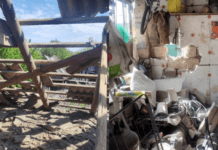 Внаслідок обстрілу Нікопольщини постраждала 35-річна жінка: безпекова ситуація в області станом на вечір 30 квітня