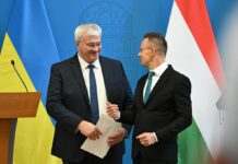 Сибіга зустрівся з Сійярто і домовився про подальші контакти