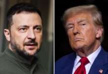 Зеленський і Трамп можуть зустрітися у Римі, – AFP