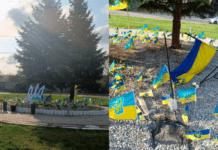 Наруга над державними прапорами: правоохоронці Дніпра затримали порушника