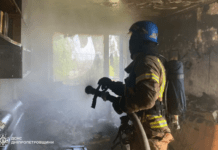 Вогнеборці Кривого Рогу врятували жінку на пожежі у Довгиницькому районі міста