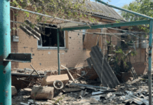 У Нікополі 62-річна жінка наступила на протипіхотну міну «пелюстка»: потерпілу госпіталізували до лікарні у важкому стані