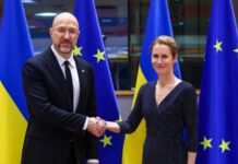 Шмигаль у розмові з Каллас «наголосив на важливості» закупівлі артилерійських снарядів