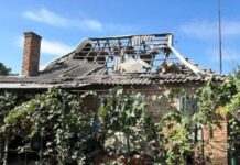 ОВА: війська РФ протягом дня дронами та артилерією атакували Нікопольщину, є постраждала