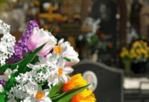 Штрафи до 1700 гривень: дніпрян закликають не купувати штучні квіти напередодні поминальних днів