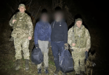 Намагались потрапити до Румунії, але загубились в горах без їжі та води: прикордонники врятували 23-річного чоловіка з Кривого Рогу та його товариша