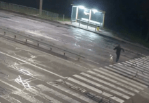 Перебігав дорогу з собакою: на Набережній Заводській у Дніпрі Toyota насмерть збила чоловіка