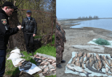 Поліція Запоріжжя викрила браконьєрів, які завдали екосистемі збитків на чверть мільйона гривень