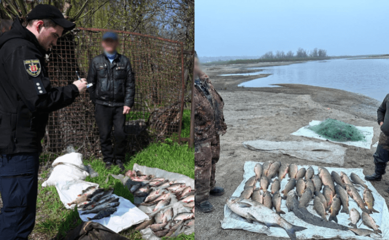 Поліція Запоріжжя викрила браконьєрів, які завдали екосистемі збитків на чверть мільйона гривень