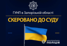 Завдані збитки перевищили 1 100 000 гривень: на Запоріжжі судитимуть організовану групу зловмисників за масштабну вирубку лісу