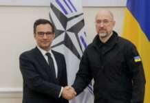 Голова Парламентської асамблеї НАТО обговорив оборонну співпрацю з урядом України й виступив у Раді