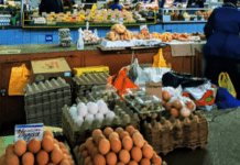 «Яйця по 17 грн»: НАБУ заявило про розкрадання понад 733 млн грн на закупівлях для ЗСУ