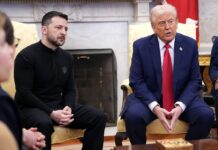 Politico дізналось, хто допоміг Зеленському з “примирливим листом” Трампу