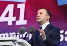 Голова владної партії Грузії заявив, що залишає політику