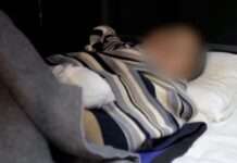 У війні проти України загинули близько 600 військових КНДР – розвідка Південної Кореї