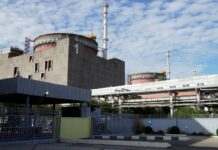 У Трампа розглядають ідею зробити зону навколо ЗАЕС нейтральною, – WSJ