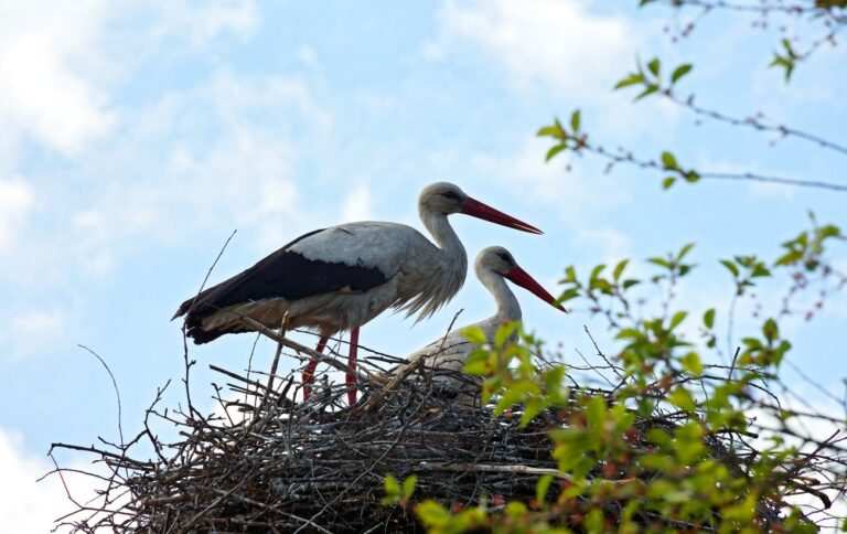 Відсьогодні в Україні стартує “сезон тиші”: що це означає