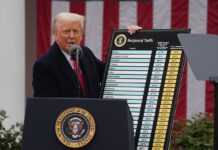 Брат Ілона Маска розкритикував Трампа за мита