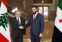 Сирія та Ліван обговорюють демаркацію кордону після припинення вогню