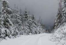 У Карпатах – 18 градусів морозу та близько 30 см снігу: неймовірні кадри