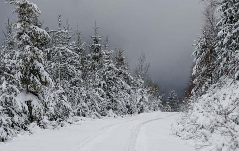 У Карпатах – 18 градусів морозу та близько 30 см снігу: неймовірні кадри