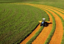 Землю більше не відберуть просто так: президент підписав законопроєкт про захист прав українців