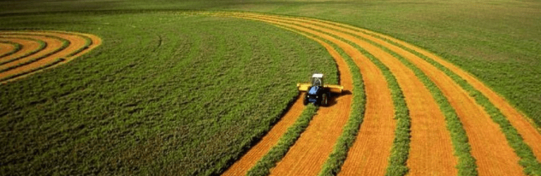 Землю більше не відберуть просто так: президент підписав законопроєкт про захист прав українців