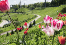 Коли в Україну знову повернеться тепло: синоптики назвали точну дату
