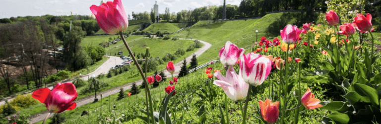 Коли в Україну знову повернеться тепло: синоптики назвали точну дату