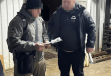 Викидали трупи тварин замість утилізації: на Дніпропетровщині судитимуть фермера і двох підприємців