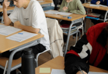 Шахраї полюють на особисті дані учасників НМТ: як не потрапити на гачок зловмисників