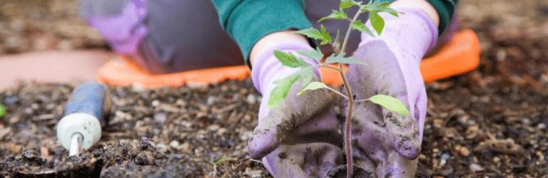 Чи можна працювати на землі у Світлий тиждень після Великодня: думка церкви