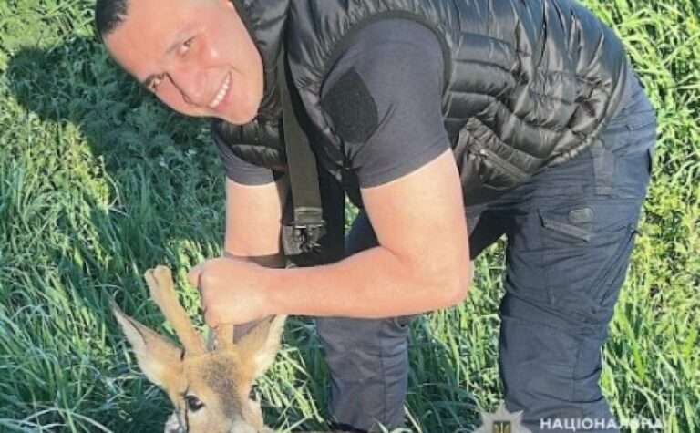 Поліцейські Криворіжжя врятували травмовану косулю