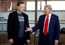Маск залишає Білий дім? Що бізнесмену сказав Трамп