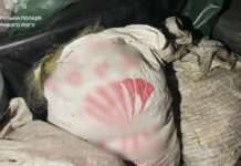 Сітки та свіжовиловлену рибу виявили патрульні Кривому Розі в багажнику автомобіля ЗАЗ