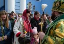 Весна повертається? Синоптик розповіла, якою буде погода на Вербну неділю