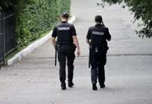 На Миколаївщині поліцейські стали жертвами атаки: один загинув, троє постраждали від гранати