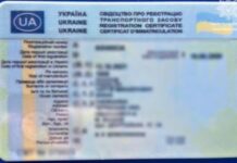 У Запоріжжі патрульні передали слідчим водія, який надав для перевірки підроблений документ