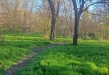 У Кривому Розі затримали чоловіка за смертельне побиття знайомого