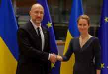 Україна повністю виконала попередній крок на шляху вступу до ЄС, – Каллас