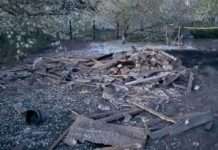 Атака РФ на Харківщину: FPV-дрон вбив чоловіка, артилерія вдарила по будинках